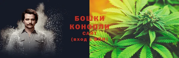 ПСИЛОЦИБИНОВЫЕ ГРИБЫ Алзамай