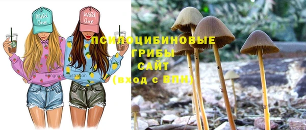 ПСИЛОЦИБИНОВЫЕ ГРИБЫ Алзамай