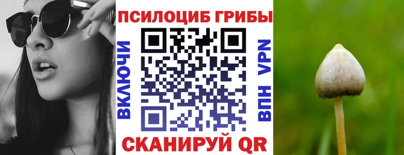 наркошоп  Щёлкино  Галлюциногенные грибы мухоморы 