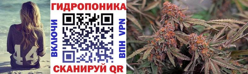 МАРИХУАНА White Widow  OMG зеркало  Щёлкино  закладка 